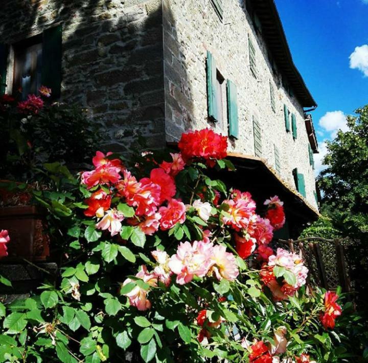 Podere I Rovai-Apt Il Rifugio- In The Heart Of Tuscany Реджелло Екстер'єр фото