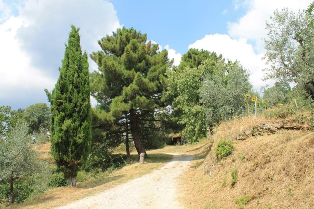 Podere I Rovai-Apt Il Rifugio- In The Heart Of Tuscany Реджелло Екстер'єр фото