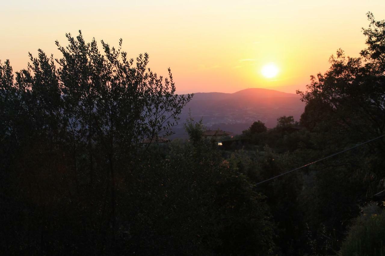 Podere I Rovai-Apt Il Rifugio- In The Heart Of Tuscany Реджелло Екстер'єр фото